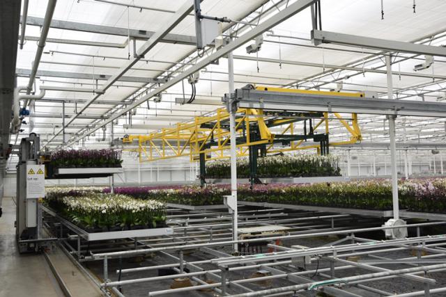 Logiqs Containerhandlingsysteem